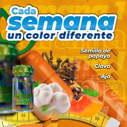 Bypass Reseto Metabolico Capsules